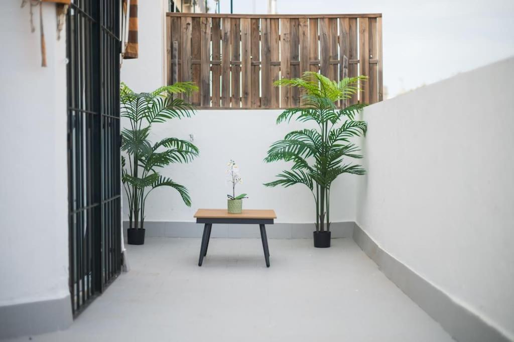 Atico Ispal Con Terraza En Centro 塞维利亚 外观 照片